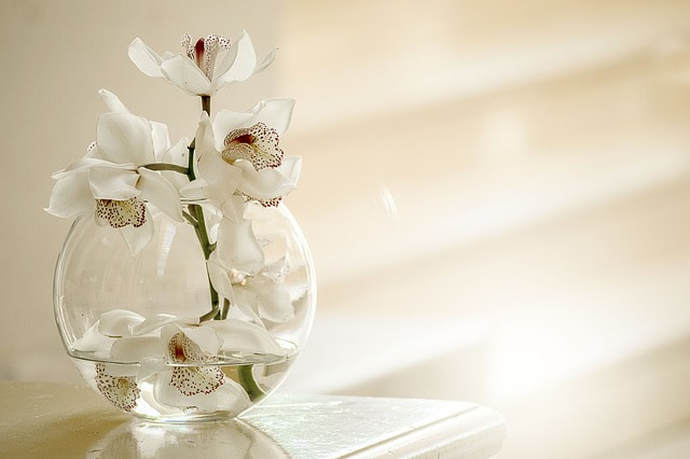 Picture of Orchid's in a vase